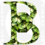 Brussels Sprouts  